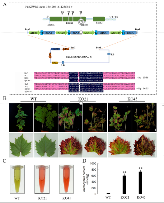 cfdfa0e72f7d40c7949dad3cc6603235.png cfdfa0e72f7d40c7949dad3cc6603235.png