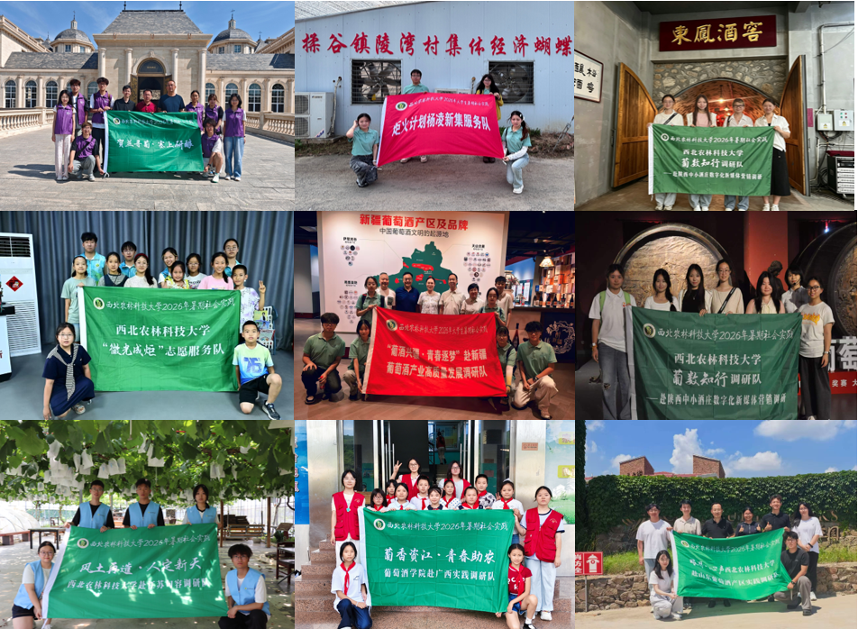 社会实践合影.png