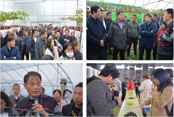 077dc95f42a440b5914febabc427d6a0.png 077dc95f42a440b5914febabc427d6a0.png