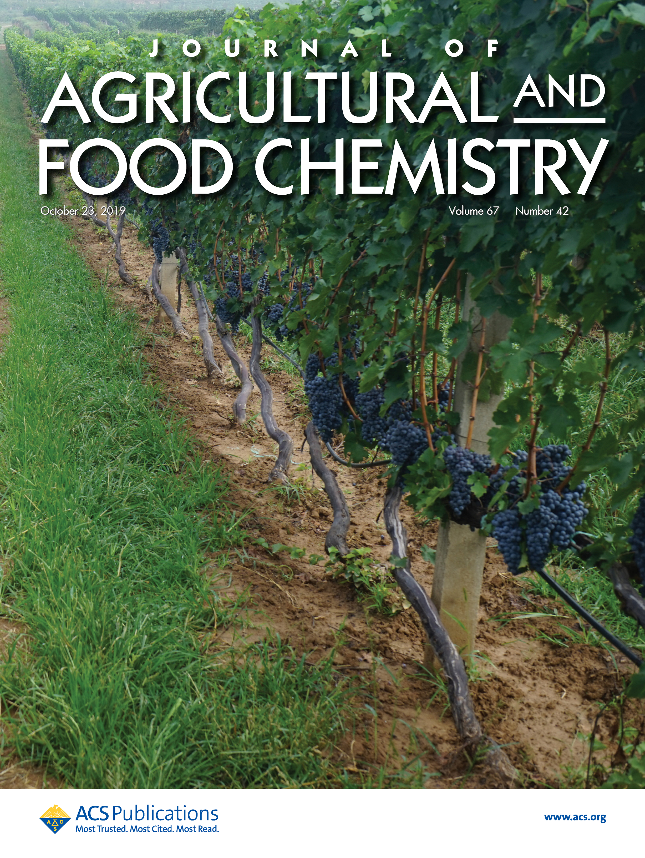 319c3f960f3240158d70dbaeea1c74ed.jpg 319c3f960f3240158d70dbaeea1c74ed.jpg