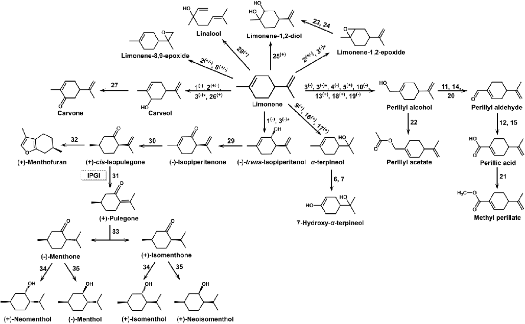 49ca6f79800e4301a9edda30c6ac48b7.png 49ca6f79800e4301a9edda30c6ac48b7.png