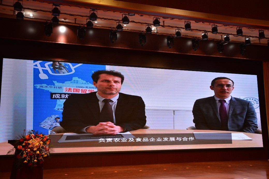 332cd6979b7147a2984096c419610c17.jpg 332cd6979b7147a2984096c419610c17.jpg