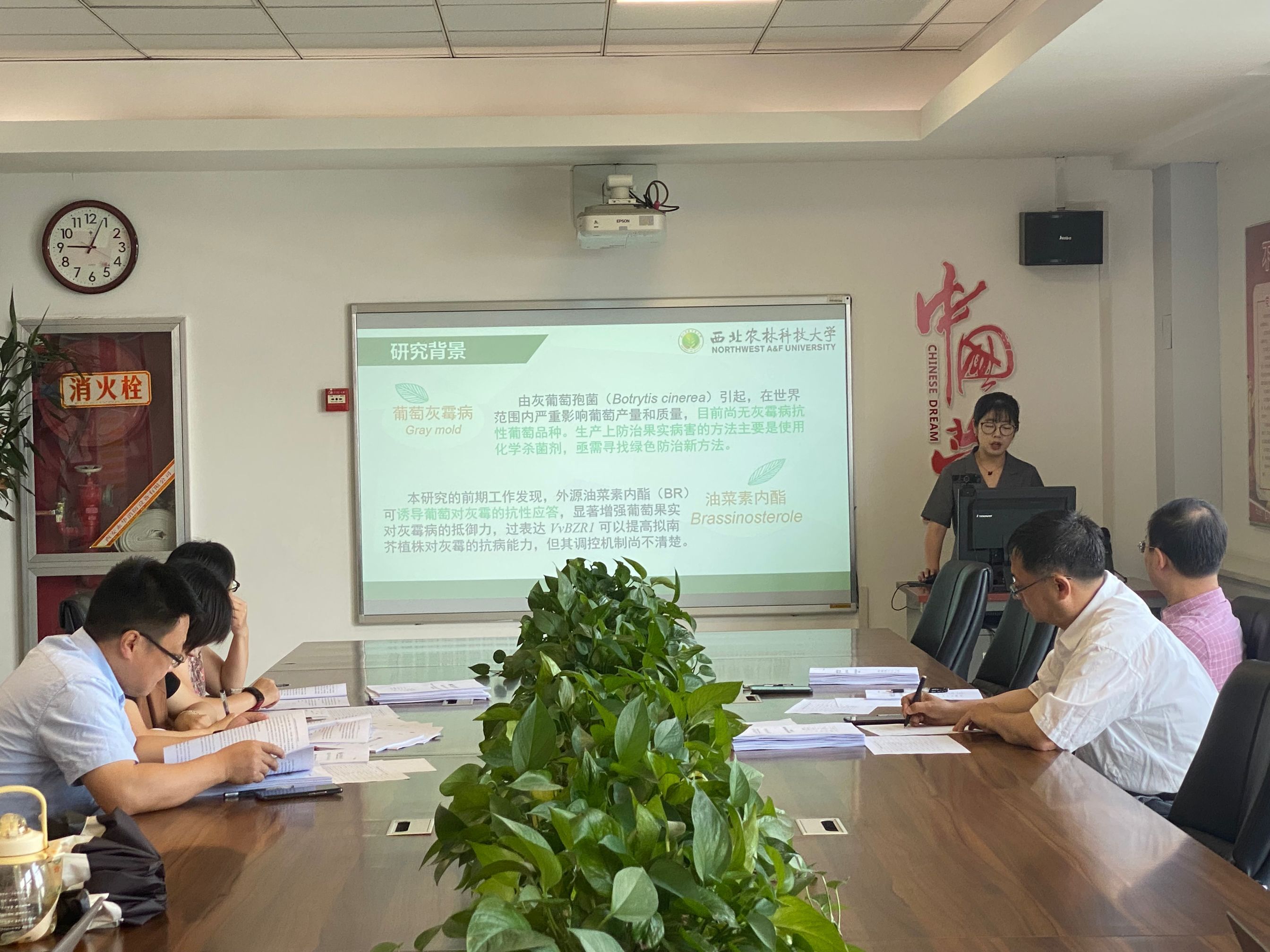 bc45dc5dc6bc4826b541ef086100986a.jpg bc45dc5dc6bc4826b541ef086100986a.jpg