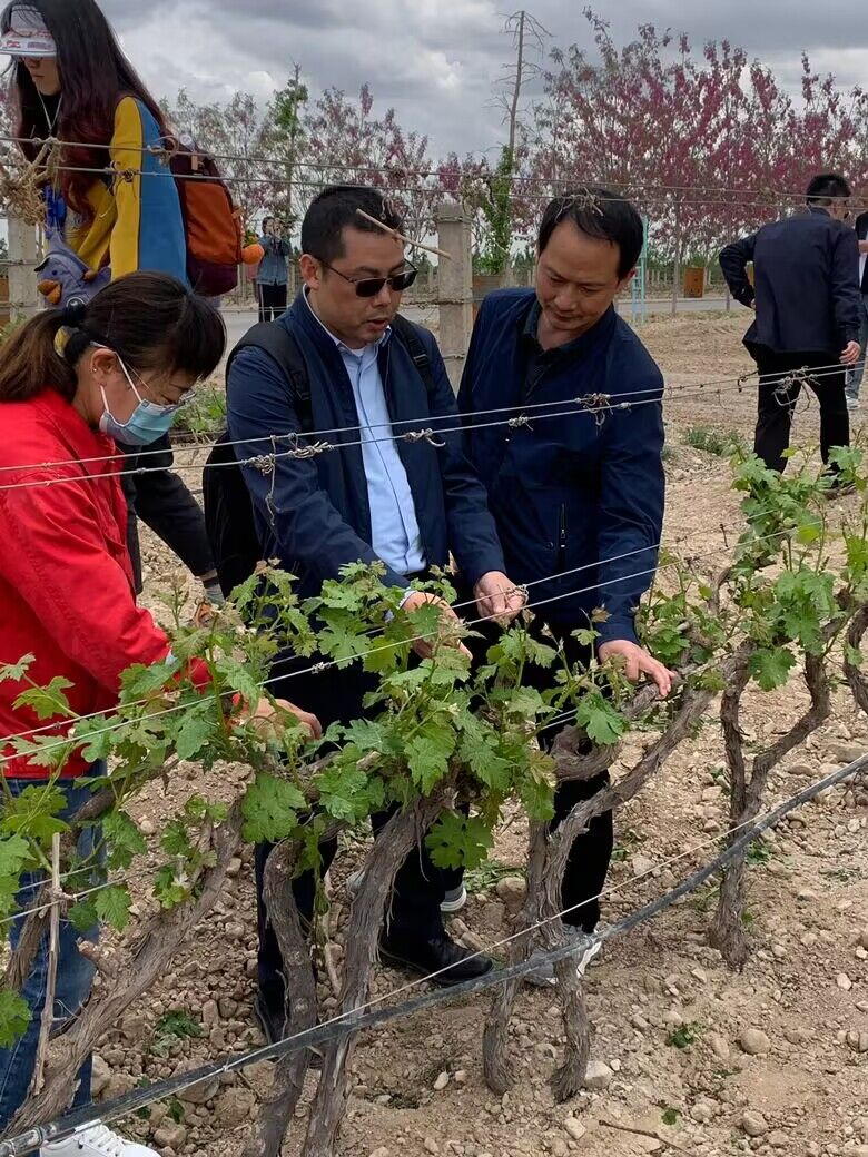 1d6d42e71f414059946fa4e92dd0832b.jpg 1d6d42e71f414059946fa4e92dd0832b.jpg